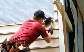 Best Siding for Commercial Buildings  in Iowa Colony, TX